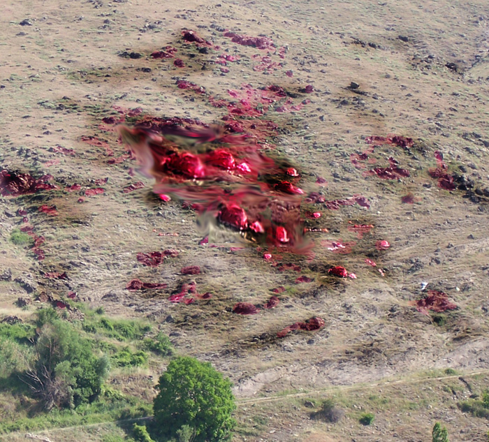 images/erga_spoudaston/gelos_small/gelos_metastasi (5).jpg